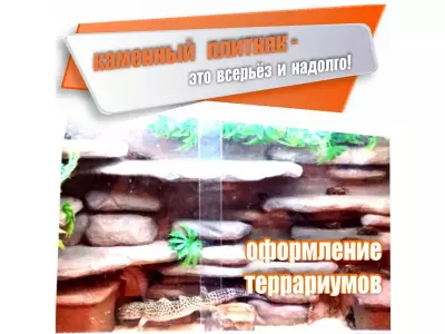 Плитняк Золотой - Кора дерева 20-25см/ 1м2.